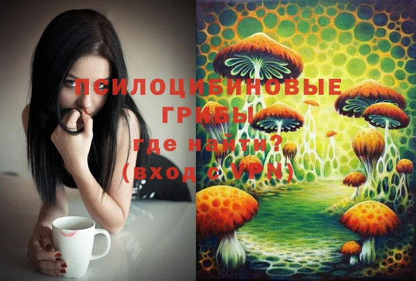 скорость Долгопрудный