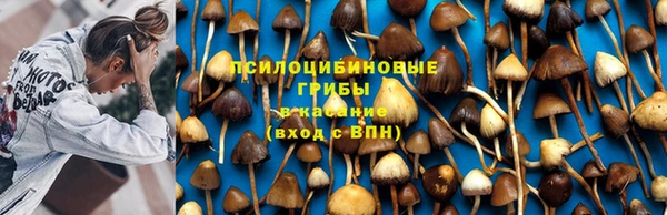 ECSTASY Орехово-Зуево