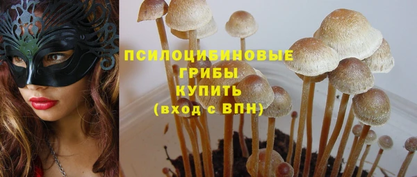 скорость Долгопрудный