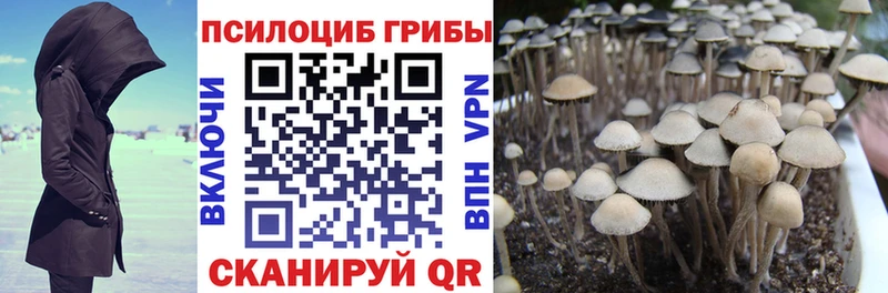 мега зеркало  сколько стоит  Бавлы  Псилоцибиновые грибы Cubensis 